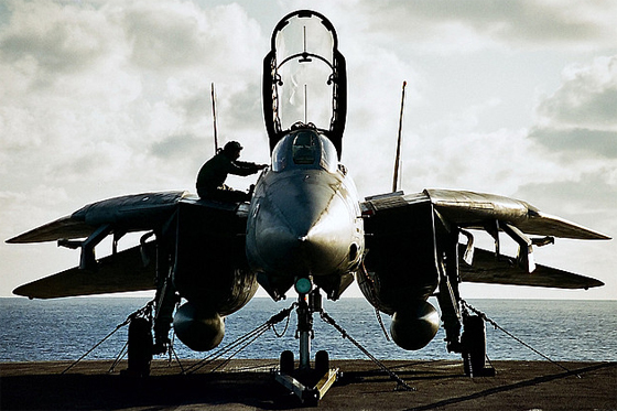 grumman f-14 tomcat