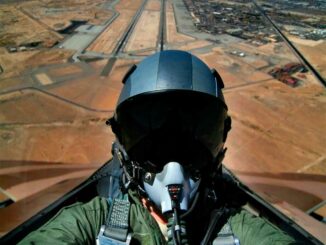 pilote de chasse