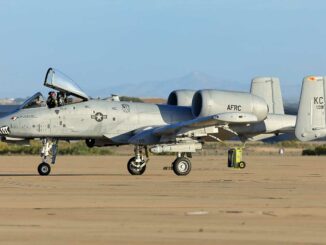 Warthog