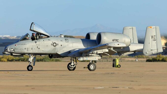 Warthog