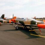 1966 - Leonardo (SIAI-Marchetti) SF.260