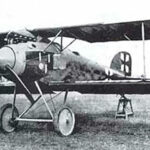 1916 - Albatros D (série)