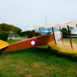 1916 - Anatra D-Series