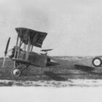 1915 - Lebed Type XII