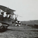 1915 - Lohner B.VII