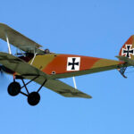 1916 - Les Halberstadt D.II et D.III