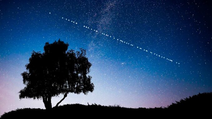 starlink Starlink Yemen