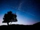 Starlink Yemen