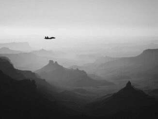 SU-57 Felon Algérie