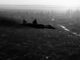 SU-57 Felon Moscow