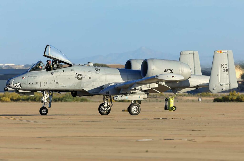 Warthog