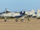 Warthog