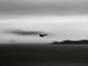 France avion de chasse